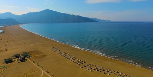 Beach Turkey