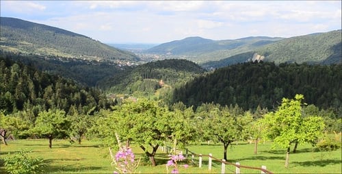 Scenic Mountain Valley With Lush Green Nature