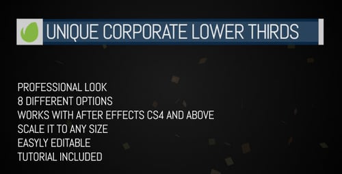 Unique Corporate Lower Third