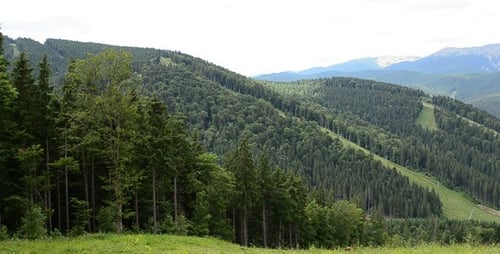Scenic View of Mountains and Lush Green Forest