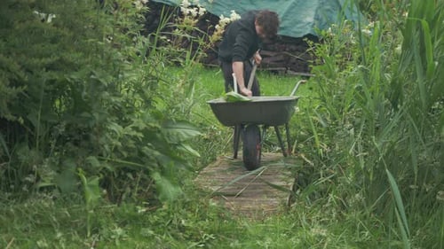 Adult Filling Wheelbarrow with Plants in Lush Garden
