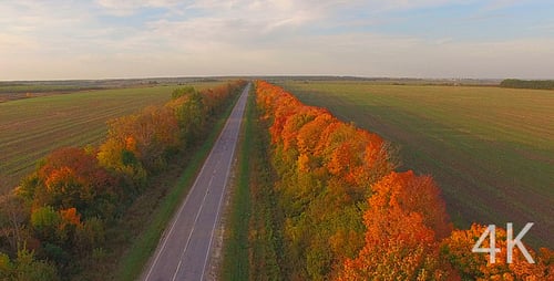 Automobile Road and Beautiful Autumn Nature