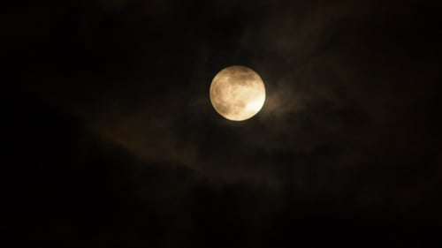 Mond