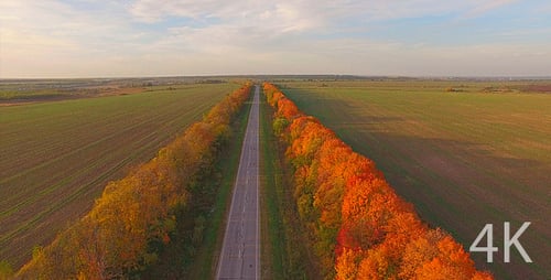 Beautiful autumn and automobile highway