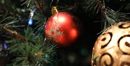 Christmas Tree Close Up 01