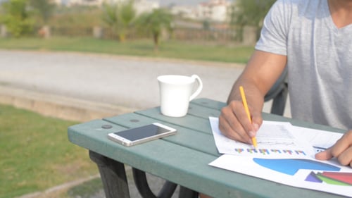 Young Adult Reviews Charts Outside on Sunny Day