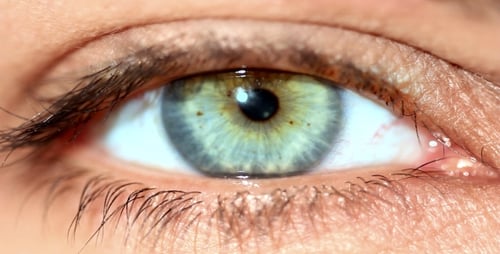 Extreme Close Up of a Blue-Green Human Eye