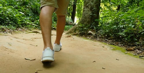 Feet Walking In Forest Trail