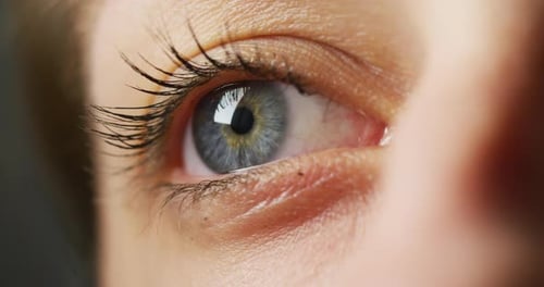 Close up of a blue eye
