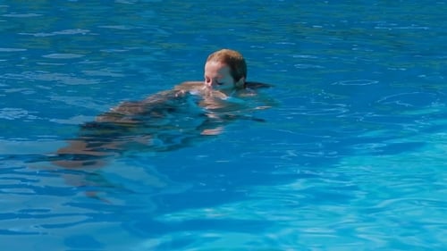Young Girl And Dolphin Training In Pool