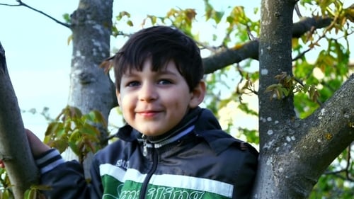 Smiling Boy Sits in Tree Branches