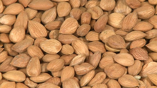Seeds Of Apricot