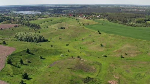 A beautiful flight in the spring on a quadcopter over a field with green grass, trees.
