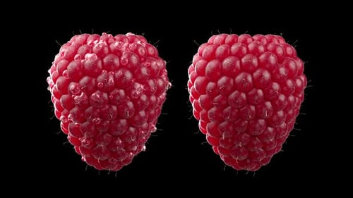 Red Raspberry Rotating A In Full HD
