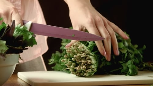 Woman Chops Fresh Cilantro Bunch with Sharp Knife