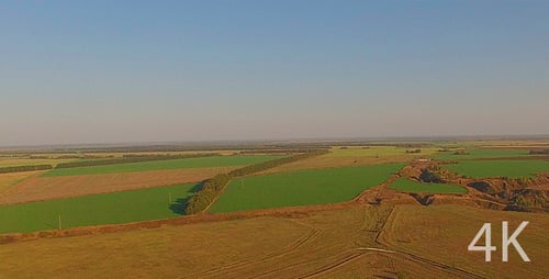 Beautiful Field of Green Grass, Agriculture