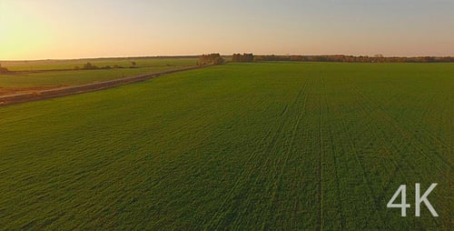 Beautiful Field of Grass and Road, Agriculture