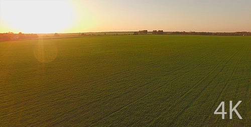 Beautiful Field of Green Grass, Agriculture