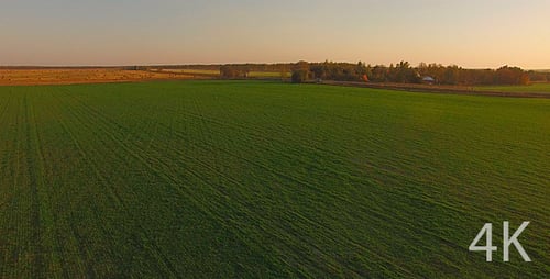 Beautiful Field of Green Grass, Agriculture