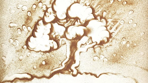 Tree In Different Seasons