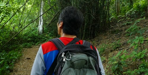 Walking On a Hike Trail In a Forest