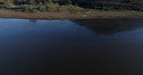 Aerial of egret in lagoon. drone dollys towards egret as stands in the marshy lagoon.