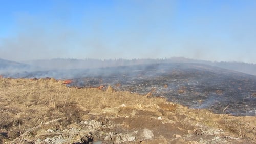 Burning Dry Grass