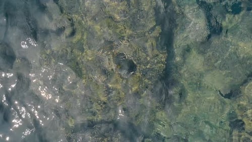Aerial View of Shimmering Turquoise Ocean Water