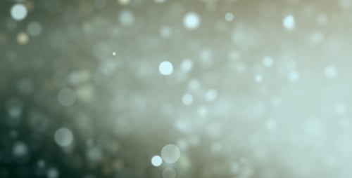 Particle Focus
