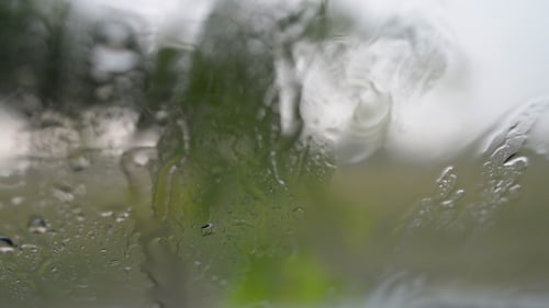Rain on Window View of Greenery