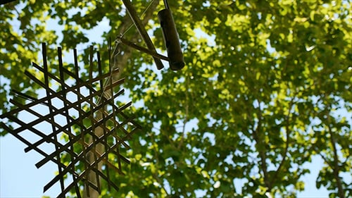 Wind Chime Hanging Outside with Green Trees
