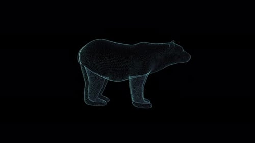3D Bear Hologram Wireframe