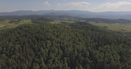 Luftbild über dem Wald 4