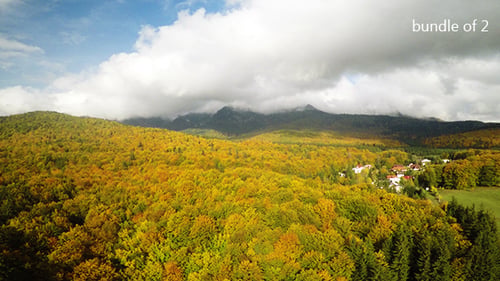 Above Autumn Forest