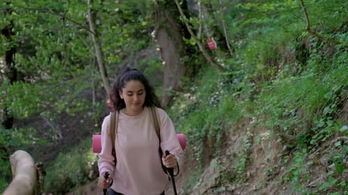 Uphill Walk in the Forest