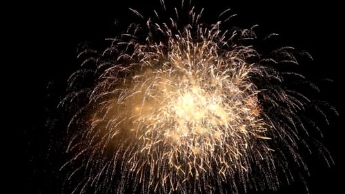 Golden Fireworks Exploding in the Night Sky