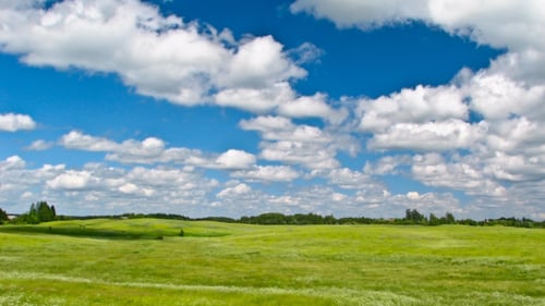 Rolling Green Field Under a Cloudy Blue Sky