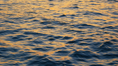 Meer