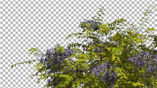 Animated Green Bush with Purple Flowers Gently Swaying