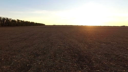 Aerial Flight Over a Harvested Field