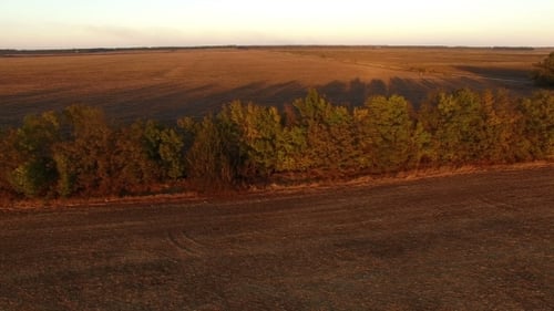 Vuelo aéreo sobre un campo cosechado