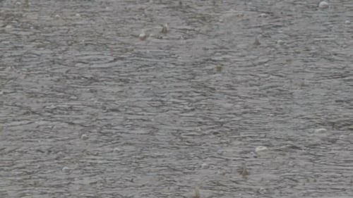 Rain Drips Through The Puddles