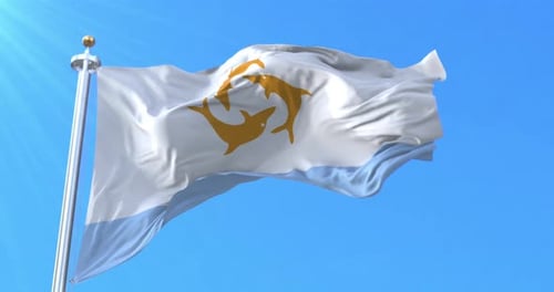 Realistic Waving Flag with Dolphin Emblem Animation