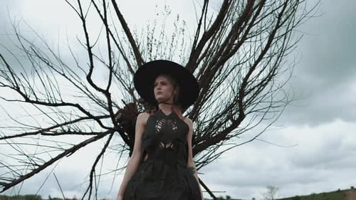 Woman in Black Dress and Hat near Bare Tree