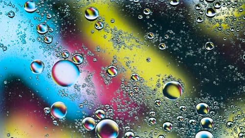 Colorful Bubbles Creating Abstract Oil and Water Macro
