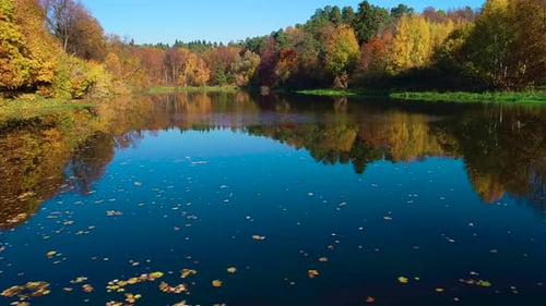 Colorful Autumn Forest Wood on the Lake