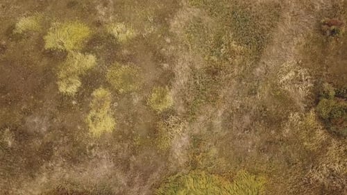 Landscape with a Bird's Eye View