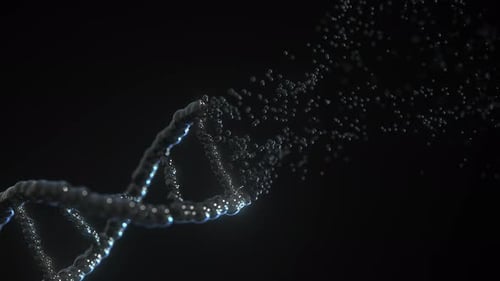 Animated DNA Helix Structure Dissolving into Particles