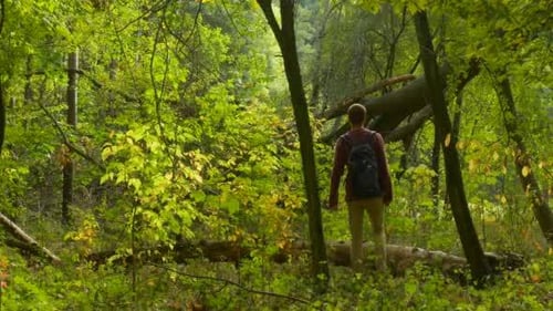 Man With Backpack Comes to The Old Forest