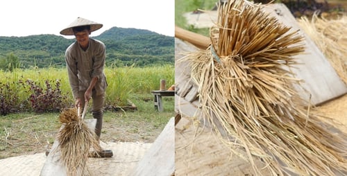 Young Adult Threshing Grain Outdoors